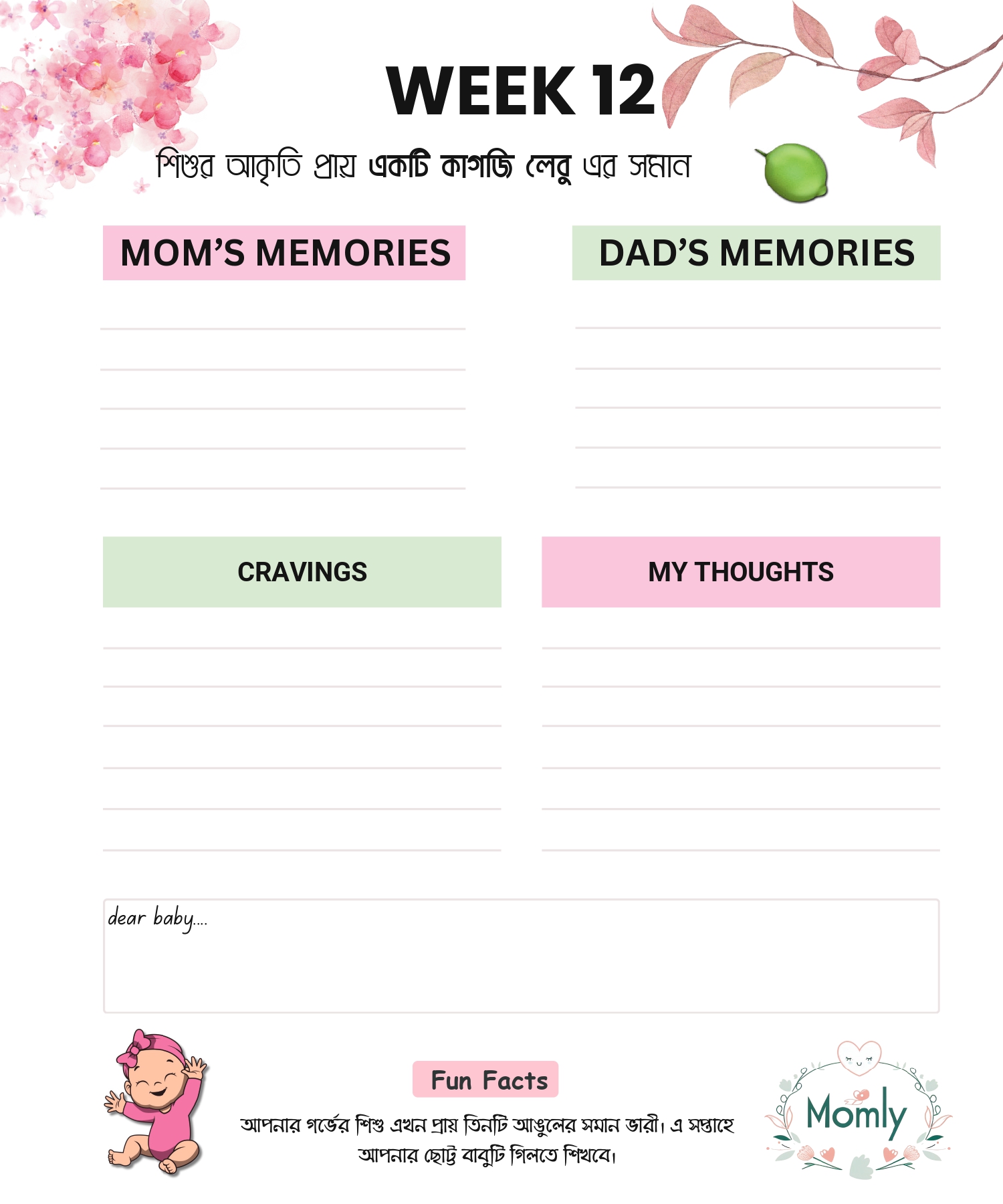 Pregnancy_Journal[1]_page-0019