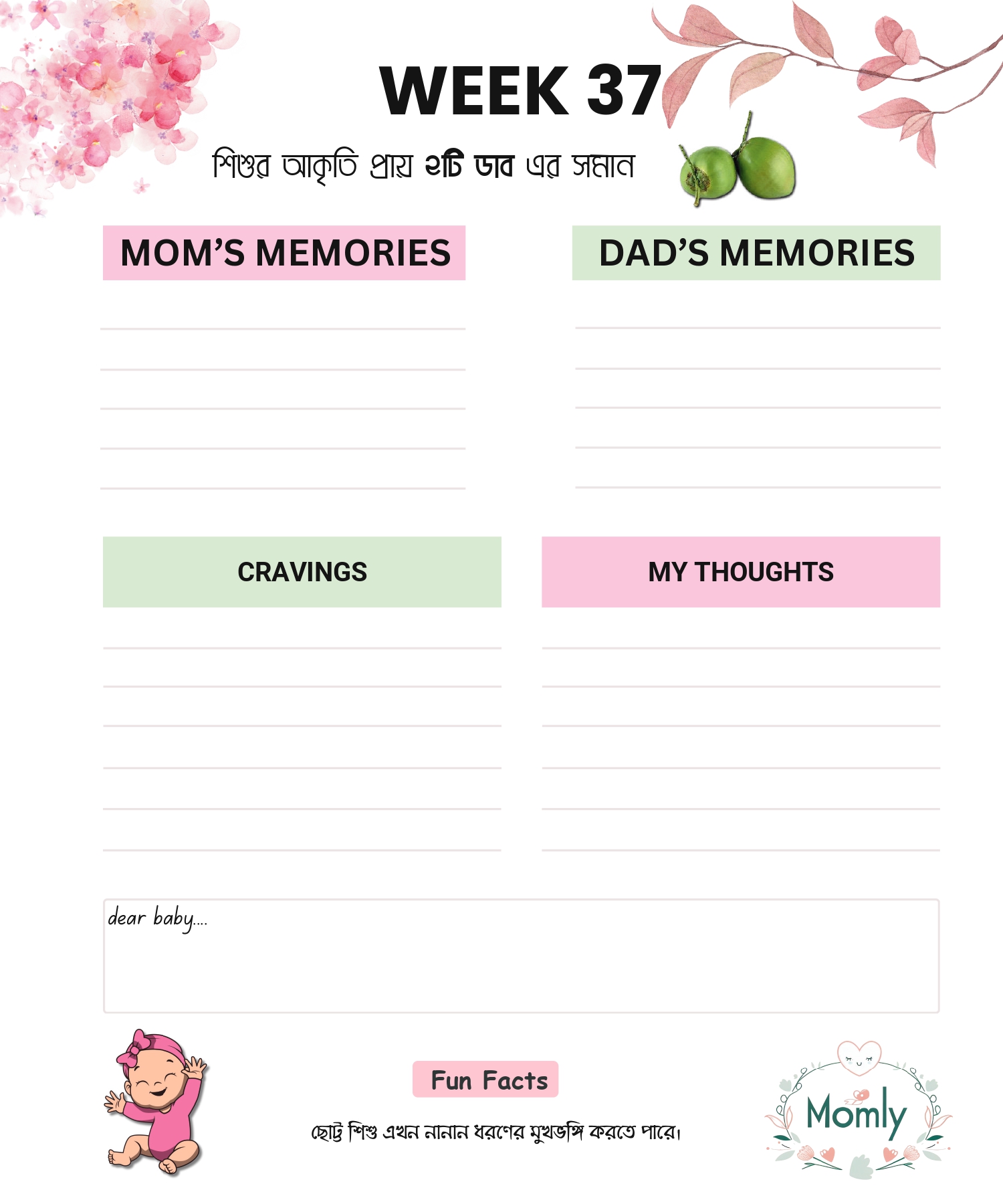Pregnancy_Journal[1]_page-0048